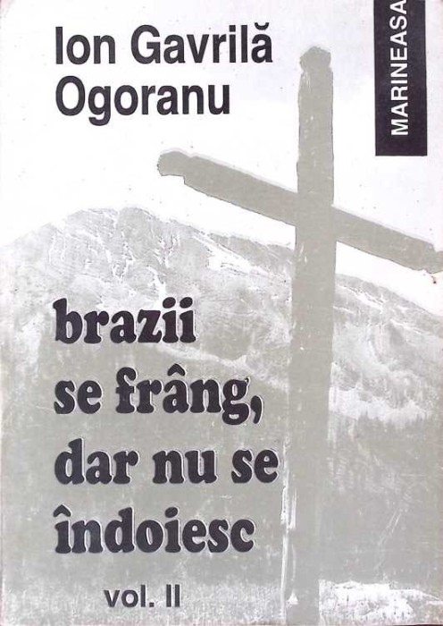 BRAZII SE FRANG, DAR NU SE INDOIESC VOL.2-ION GAVRILA-274322