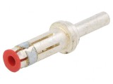 Pin Mamă Argintat 10mm2 8AWG Crimpat EBC80
