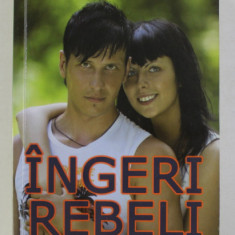 INGERI REBELI - CARTE PENTRU ADOLESCENTI INTELIGENTI de PAVEL CORUT , 2009