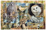 Timbre Gabon 2022: Bufnite, Set Complet Colita + Bloc, Colectie Tematica Fauna, Timbre Straine, Emisiune Filatelica