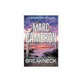 Breakneck: A Captivating Novel of Suspense