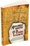 Apocalipse apocrife ale Noului Testament