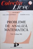 Ion Petrica - Probleme de analiza matematica, vol. I, clasa a XI-a (Editia: 1993)