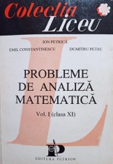 Ion Petrica - Probleme de analiza matematica, vol. I, clasa a XI-a (Editia: 1993) foto