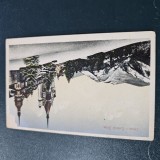 Carte postala SINAIA CASTELUL PELES