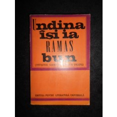 Undina isi ia ramas bun (povesti germane din doua decenii)