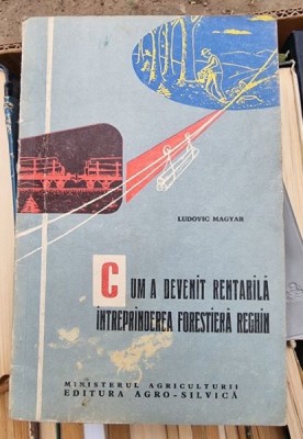 Ludovic Magyar - Cum a devent rentabila intreprinderea forestiera Reghin foto