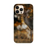 Husa compatibila cu Apple iPhone 14 Pro Max model North Devon beach, Silicon, TPU, Viceversa