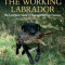 Training the Working Labrador, Hardcover/Jeremy Hunt