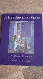 A Ladder to the Stars