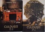 Culdusii (2 Volume) - Valeriu Ilica - Carte