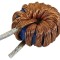 Inductor THT 22uH 30A
