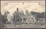 4736 - ETHNIC, Dobrogea, Litho, Romania - old postcard - unused, Necirculata, Printata