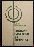 Imagine si simbol la Brancusi - Adrian Petringenaru