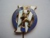 ROMANIA - INSIGNA - Spartachiada tineretului 1959 - RPR , IM 1.54