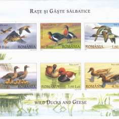 2007 ROMANIA - Rate si gaste salbatice bloc de 6 timbre neuzat LP1771d MNH