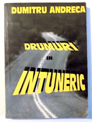 DRUMURI IN INTUNERIC de DUMITRU ANDRECA , 1998 foto