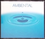 CD MUZICA: AMBIENTAL-345138