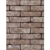 Placaj klinker Terca Forum Cromo Genuanceerd, 21.5x6.5x2.3 cm