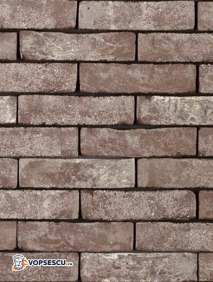 Coltar mic klinker Terca Forum Cromo Genuanceerd, 18.5x6.5x2.3 cm foto