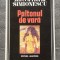 Mircea Horia Simionescu - Paltonul de vară