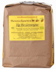 Young Barley Powder BIO Product from Germany 1 kg foto