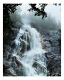Tablou Canvas, "Cascada năvalnică &icirc;n mijlocul pădurii", Cascadă, Apă, St&acirc;nci, Frunziș, Ceață, Natură, Răcoritoare, Pădure, Măreție, Revigorant, Linișt