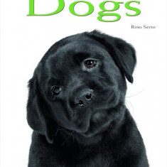Dogs: Pocket Book - Hardcover - Rino Serio - White Star