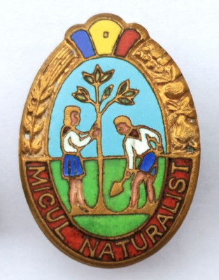 INSIGNA PIONIER MICUL NATURALIST EMAIL CALD PIONIERI foto