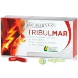 Tribulmar - Tribulus, L-Arginina, L-Lizina, L-Ornitina si Creatina pentru Dezvoltarea Masei Musculare si Energie 60cps vegetale