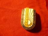 Insigna Congresul Uniunii Nationale a CAP-urilor ,h=2,8cm ,metal si email