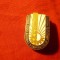 Insigna Congresul Uniunii Nationale a CAP-urilor ,h=2,8cm ,metal si email