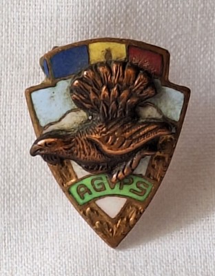 Cocos de munte - AGVPS - RSR, anii 1970, Insigna Vanatoare si Pescuit - piesa superba, rara foto