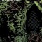 Saga of the Swamp Thing, Book Five