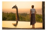 Tablou Canvas, "&Icirc;nt&acirc;lnire cu girafa la apus", Nu știu cine este &icirc;n imagine, dar pot să descriu ceea ce văd: Giraffă, Apus, Femeie, Lac, Natură, Observ