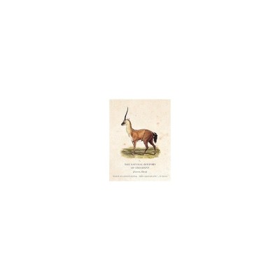 The Natural History of Unicorns foto