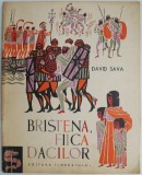 Bristena, fiica dacilor - David Sava - Carte beletristica