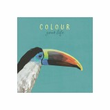 Tablou panza - Toucan | Chic mic