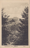 CP Cisnadioara Michelsberg ND(1917), Circulata, Fotografie, Sibiu