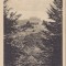 CP Cisnadioara Michelsberg ND(1917)