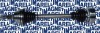 MAGNETI MARELLI 302004190003 Planetara