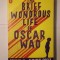 Junot Diaz - The Brief Wondrous Life of Oscar Wao