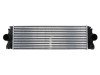 Radiator intercooler MERCEDES SPRINTER 5-t platou / sasiu (906) (2006 - 2016) THERMOTEC DAM004TT