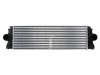 Radiator intercooler MERCEDES SPRINTER 3-t platou / sasiu (906) (2006 - 2016) THERMOTEC DAM004TT