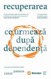 Recuperarea | Leslie Jamison, Publica
