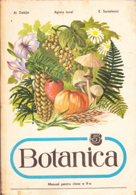 AS - DABIJA AL. - BOTANICA MANUAL CLASA A V- A foto