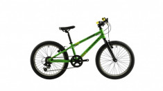 Bicicleta Copii Devron Riddle K1.2 254mm Verde Galben 20 inch foto