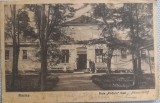 1930 CP Buzias, Baia Phoenix, Gizela Vilt greco catolica catre Valeria Sfetcu