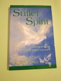RARA Suflet si Spirit - Edgar Cayce