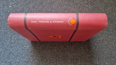 STRAMOSII - Radu Theodoru foto